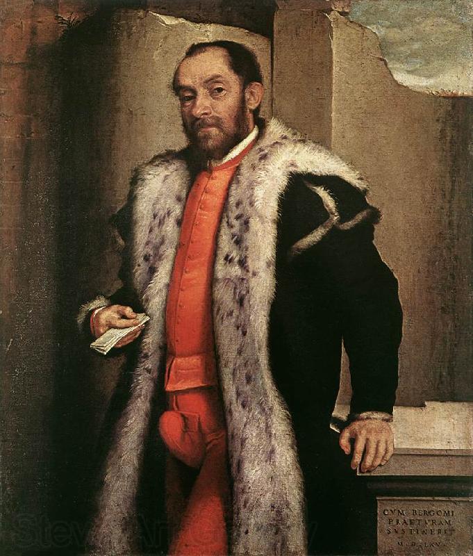 MORONI, Giovanni Battista Portrait of a Man sgy Germany oil painting art